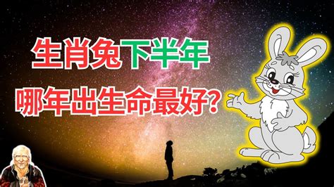 2024年兔運程|2024生肖兔整年運勢一次看！多注意健康、主動做一。